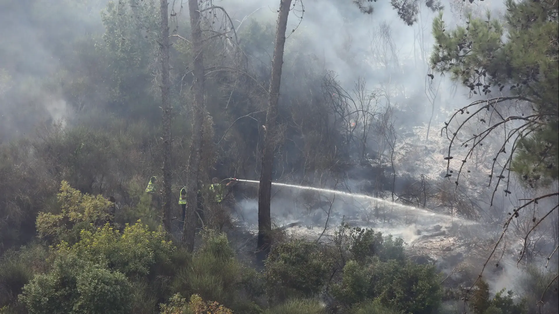 נזקי השריפה שפרצה באזור א-שוף, לבנון 15 באוקטבור 2019 נזקי השריפה שפרצה באזור א-שוף, לבנון 15 באוקטבור 2019