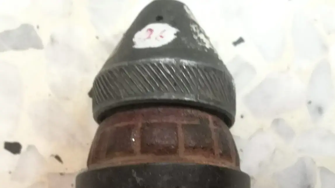 רימון יד מדגם USA של ארגון ההגנה שנמצאו באילת השחר רימון יד מדגם USA של ארגון ההגנה שנמצאו באילת השחר