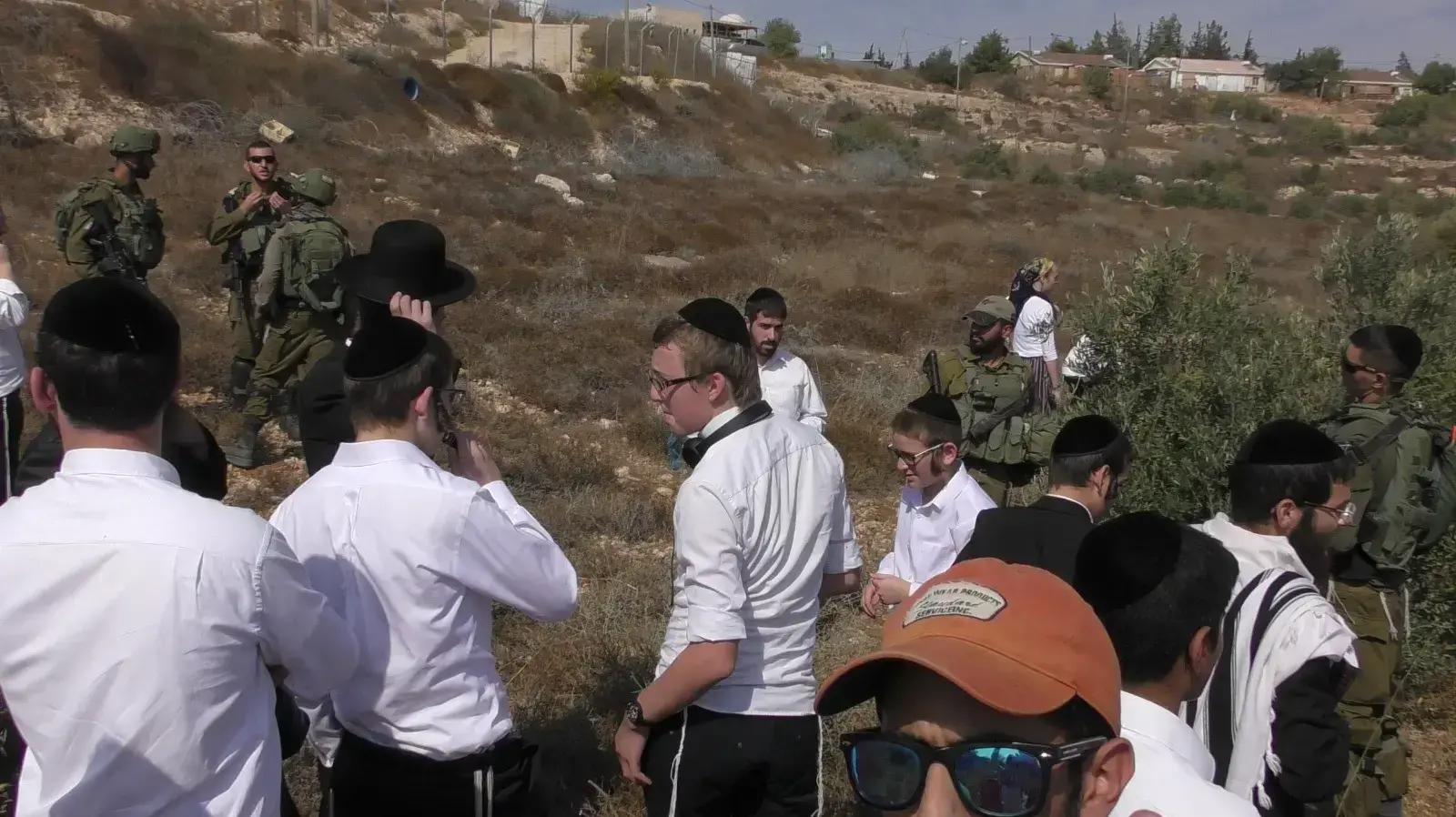 פלסטינים מהכפר קריות טוענים שהצבא מונע מהם למסוק זיתים באדמות שלהם. פלסטינים מהכפר קריות טוענים שהצבא מונע מהם למסוק זיתים באדמות שלהם.
