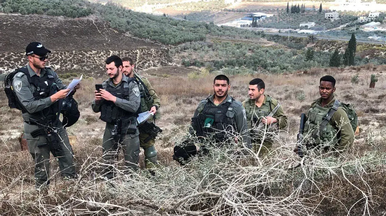 צבא במטע זיתים בכפר בורין צבא במטע זיתים בכפר בורין