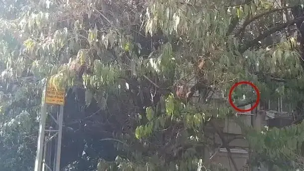 עש בשמי תל אביב 27 באוקטובר 2019
עש בשמי תל אביב 27 באוקטובר 2019