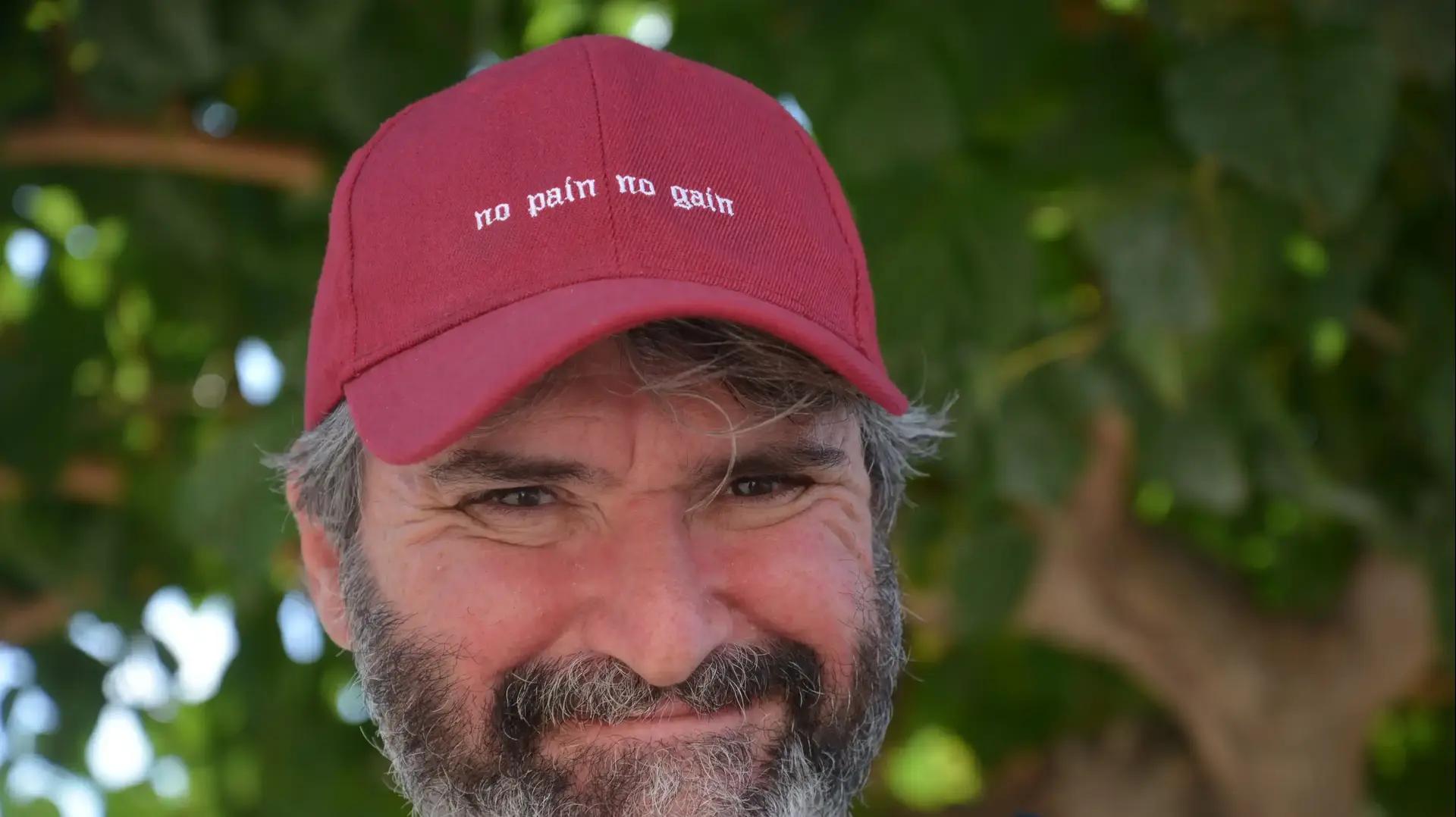פרופ' אלכס בינשטוק פרופ' אלכס בינשטוק