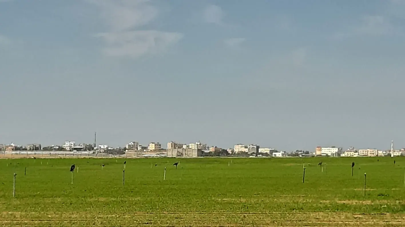 גבול עזה 3 בנובמבר 2019 גבול עזה 3 בנובמבר 2019