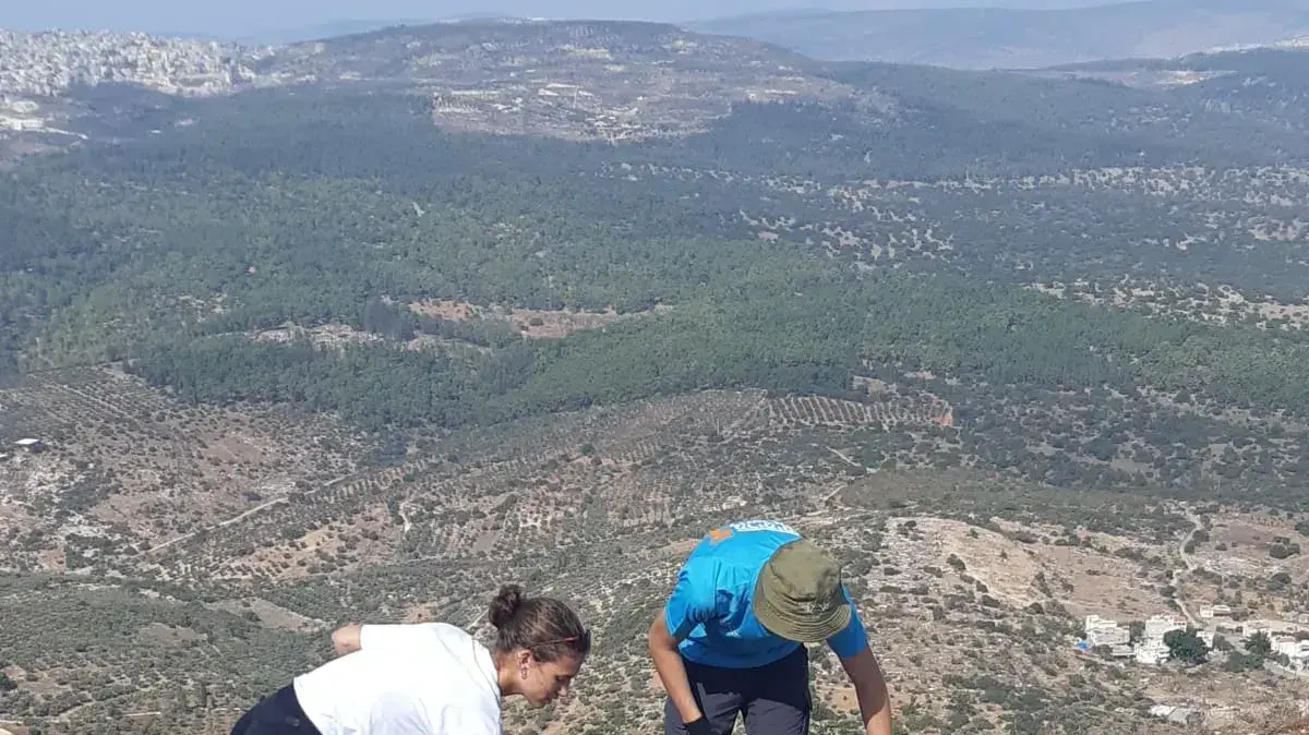 ניקיון הר תבור לקראת פריחת החלמוניות ניקיון הר תבור לקראת פריחת החלמוניות