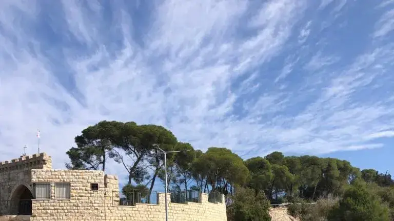 ניקיון הר תבור לקראת פריחת החלמוניות ניקיון הר תבור לקראת פריחת החלמוניות