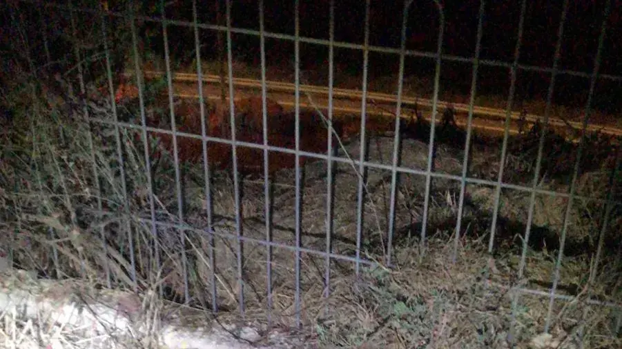 אבנים שככל הנראה הוכנו מראש על ידי החשודים שרגמו באבנים טיולית של לוחמי מג"ב בכניסה ליישוב יצהר. 04 בנובמבר 2019 אבנים שככל הנראה הוכנו מראש על ידי החשודים שרגמו באבנים טיולית של לוחמי מג"ב בכניסה ליישוב יצהר. 04 בנובמבר 2019
