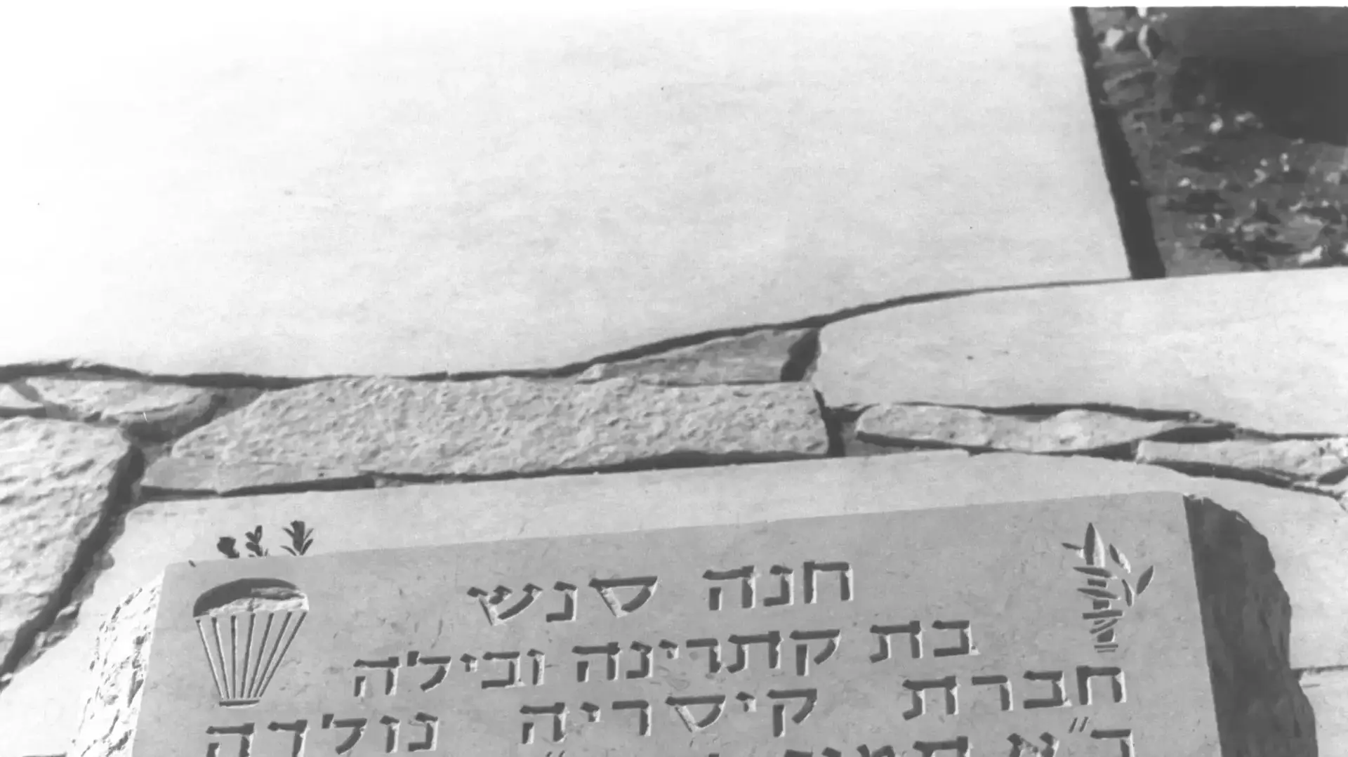 קבר חנה סנש בהר הרצל קבר חנה סנש בהר הרצל