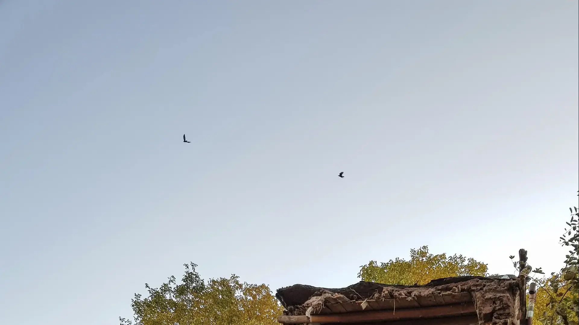 נזקי רעידת האדמה באיראן. 08 בנובמבר 2019. נזקי רעידת האדמה באיראן. 08 בנובמבר 2019.