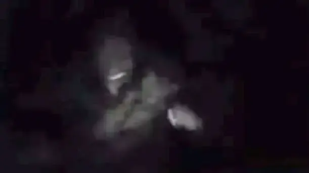 יצור שנראה כמו ביגפוט קופץ מול המצלמה