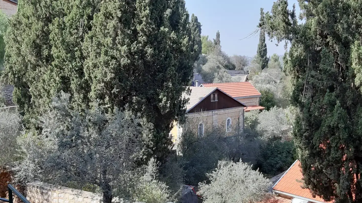 אברהם שקד לשעבר רכז שמורת הטבע של החברה להגנת הטבע במחוז ירושלים, 13 בנובמבר 2019 אברהם שקד לשעבר רכז שמורת הטבע של החברה להגנת הטבע במחוז ירושלים, 13 בנובמבר 2019