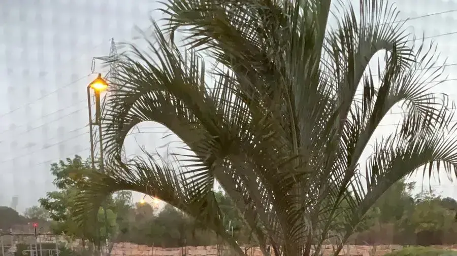 גשם בראשון לציון. 15 בנובמבר 2019. גשם בראשון לציון. 15 בנובמבר 2019.
