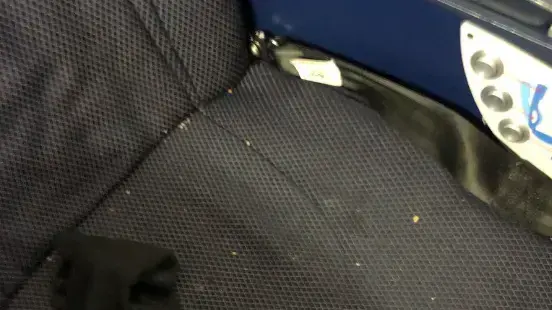 נוסעת גילתה גרב מסריח על מושב במטוס נוסעת גילתה גרב מסריח על מושב במטוס