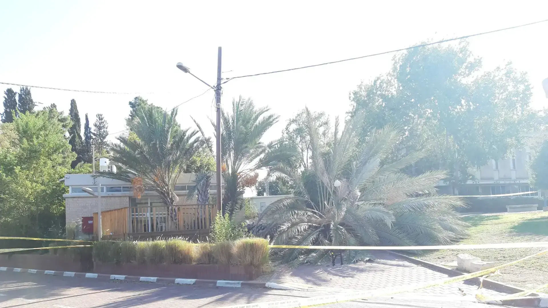 עץ שקרס בקיבוץ בחן שבשרון 18 בנובמבר 2019 עץ שקרס בקיבוץ בחן שבשרון 18 בנובמבר 2019