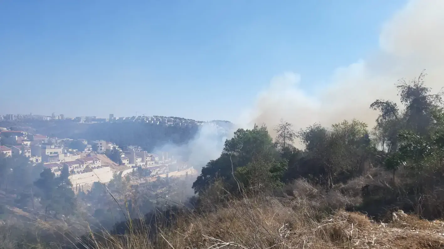 שריפה במבשרת ציון , 20 בנובמבר 2019 שריפה במבשרת ציון , 20 בנובמבר 2019