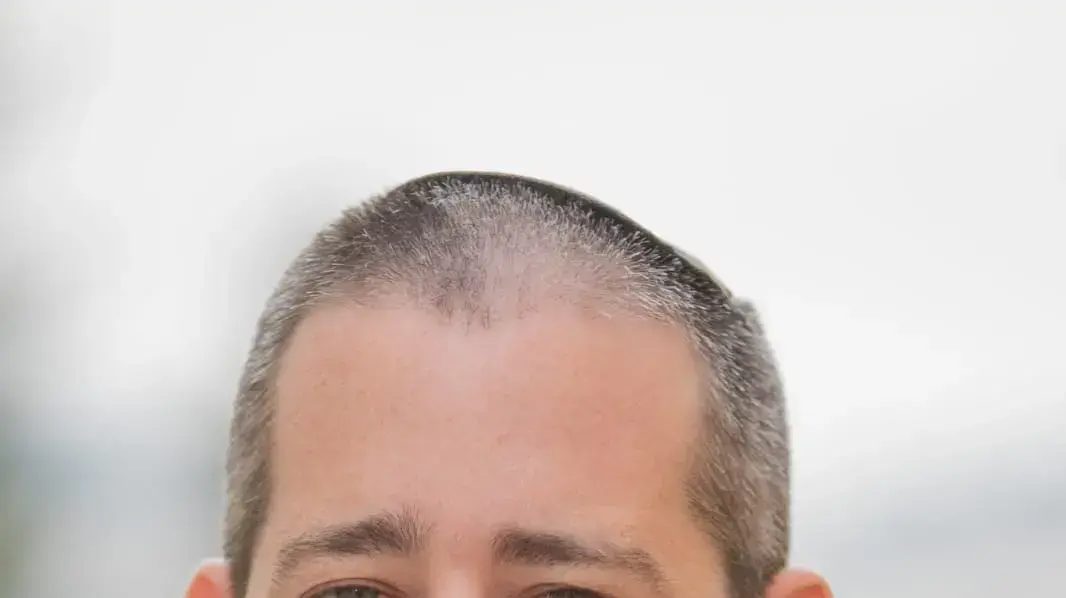 ראש תחום דת ומדינה בתנועת נאמני תורה ועבודה תני פרנק ראש תחום דת ומדינה בתנועת נאמני תורה ועבודה תני פרנק