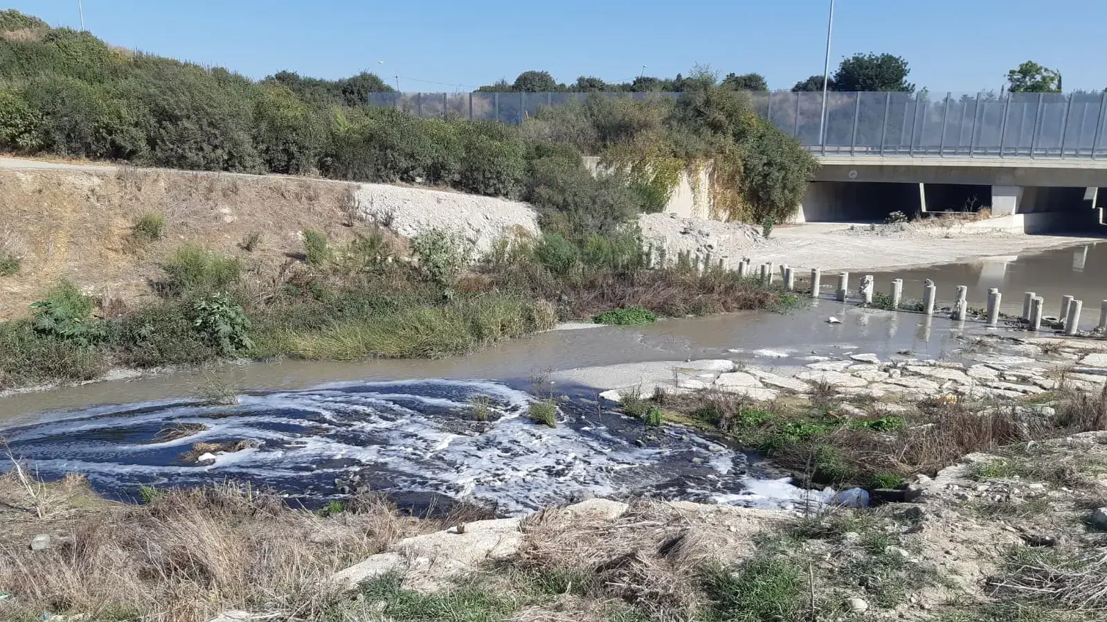 קצף לבן ומזוהם מכסה את נחל אלכסנדר. 28 בנובמבר 2019. קצף לבן ומזוהם מכסה את נחל אלכסנדר. 28 בנובמבר 2019.