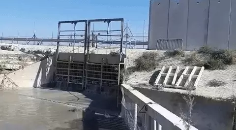 קצף לבן ומזוהם מכסה את נחל אלכסנדר. 28 בנובמבר 2019.