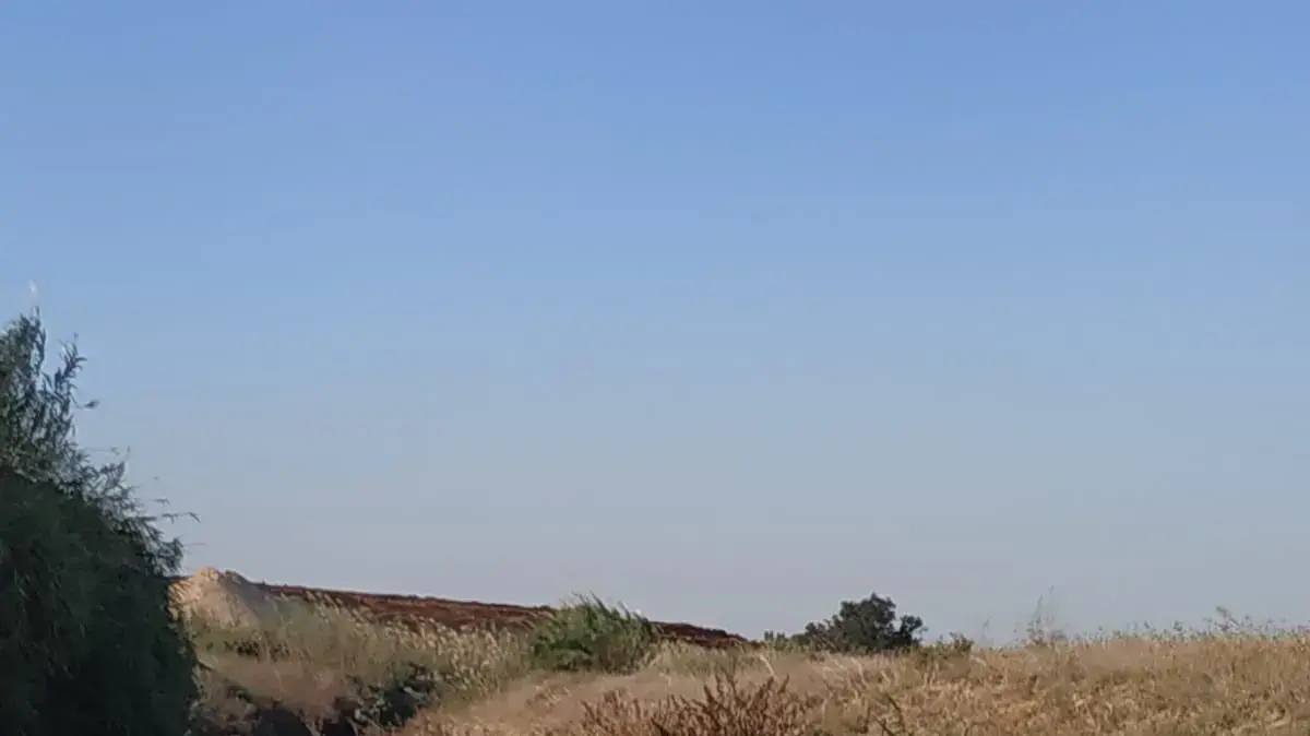 נחל אלכסנדר נחל אלכסנדר