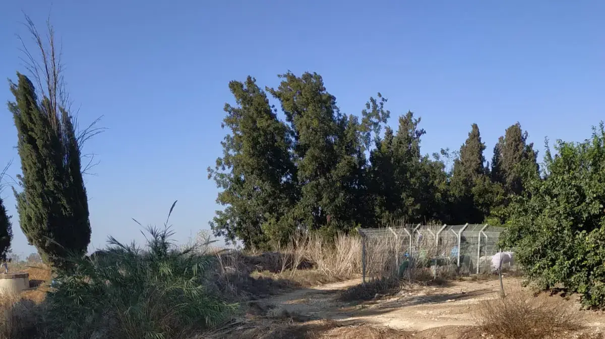 נחל אלכסנדר נחל אלכסנדר
