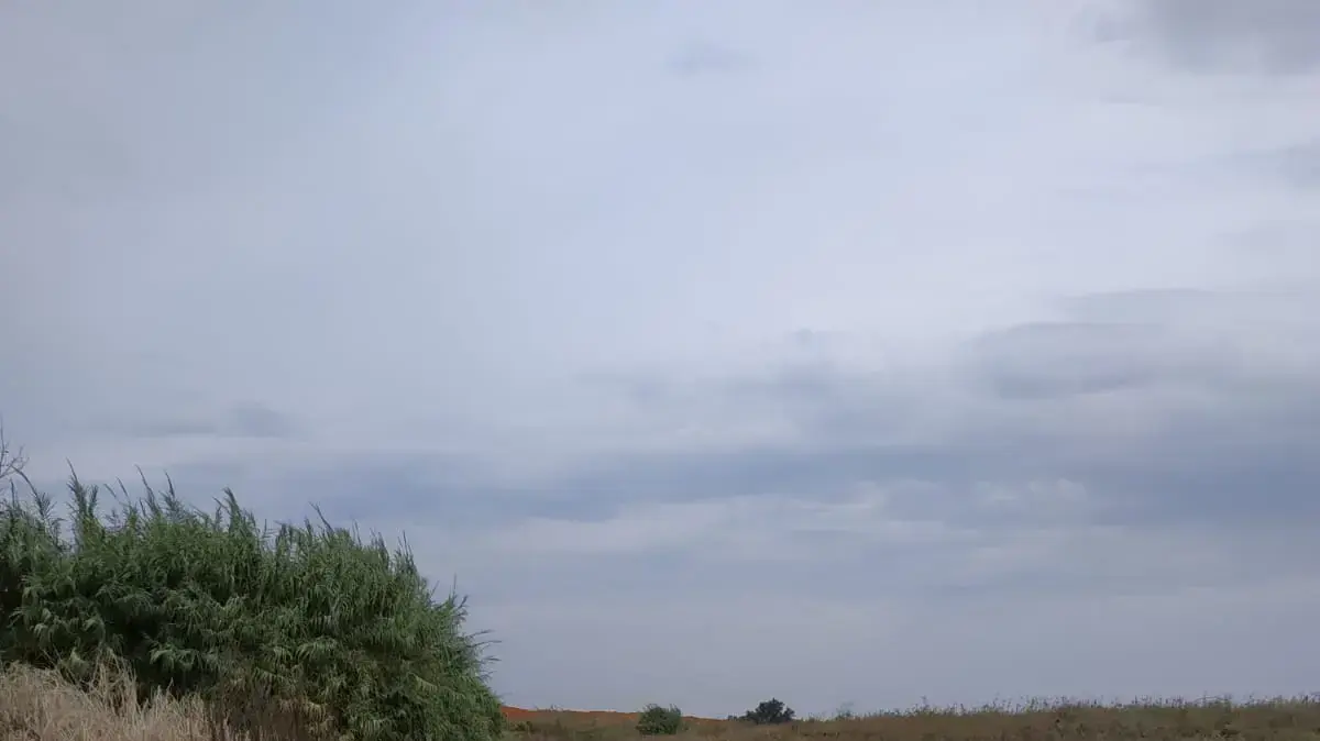 נחל אלכסנדר נחל אלכסנדר