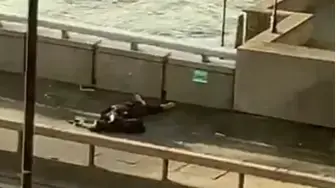 פצוע בתקרית הדקירה בגשר לונדון, 29 בנובמבר 2019 פצוע בתקרית הדקירה בגשר לונדון, 29 בנובמבר 2019