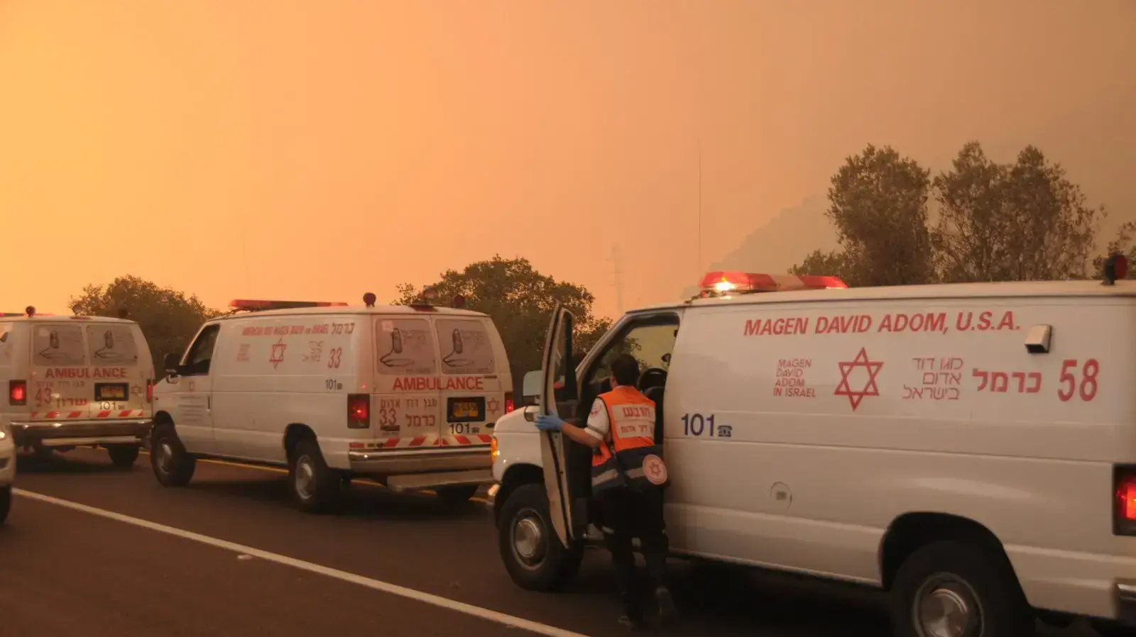 אסון השריפה בכרמל 2 בדצמבר 2010 אסון השריפה בכרמל 2 בדצמבר 2010