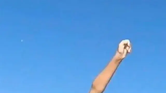כריש התנגש בילד
