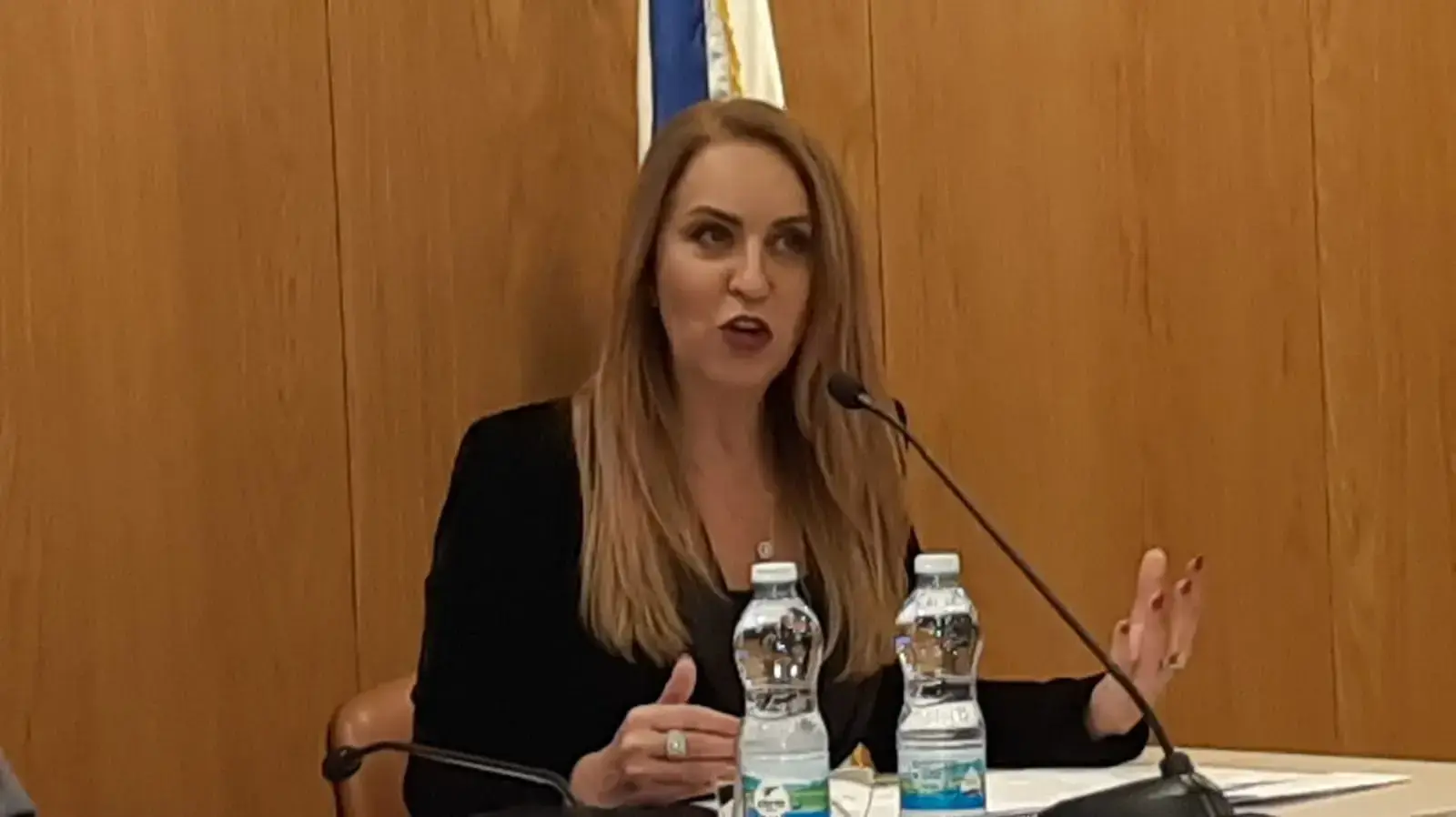 אורלי עדס, מנכ"לית ועדת הבחירות בהדרכה לקראת בחירות לכנסת ה-23, 5 בדצמבר 2019 אורלי עדס, מנכ"לית ועדת הבחירות בהדרכה לקראת בחירות לכנסת ה-23, 5 בדצמבר 2019