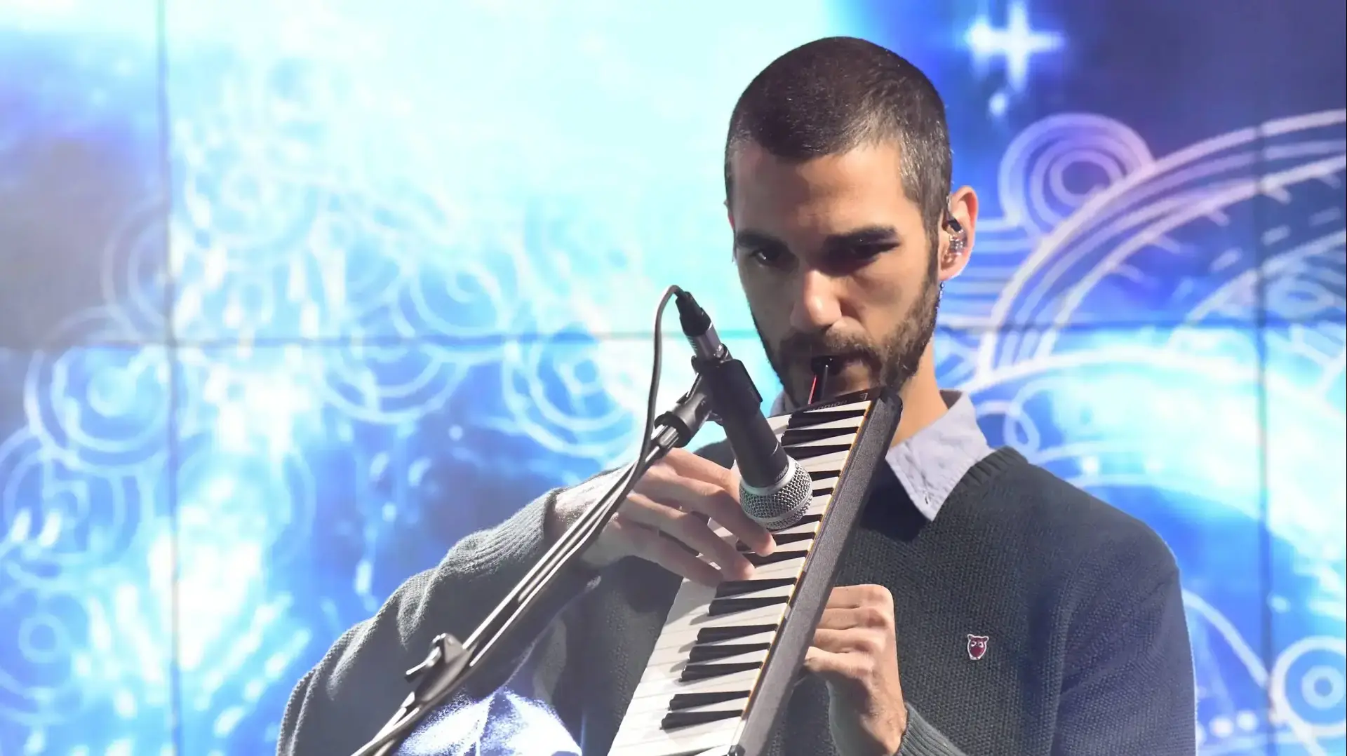 הג'ירפות באולפן וואלה,5.12.2019 הג'ירפות באולפן וואלה,5.12.2019