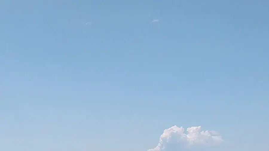 התפרצות הר געש באי הלבן, ניו זילנד, 9 בדצמבר 2019 התפרצות הר געש באי הלבן, ניו זילנד, 9 בדצמבר 2019
