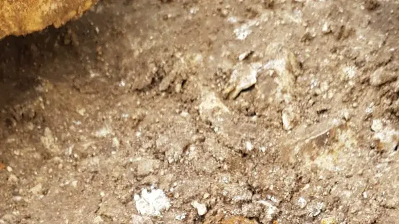 חשיפה של אמל"ח מימי טרום המדינה בקיבוץ מענית באזור השרון. 11 בדצמבר 2019