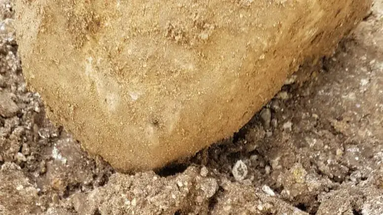 חשיפה של אמל"ח מימי טרום המדינה בקיבוץ מענית באזור השרון. 11 בדצמבר 2019