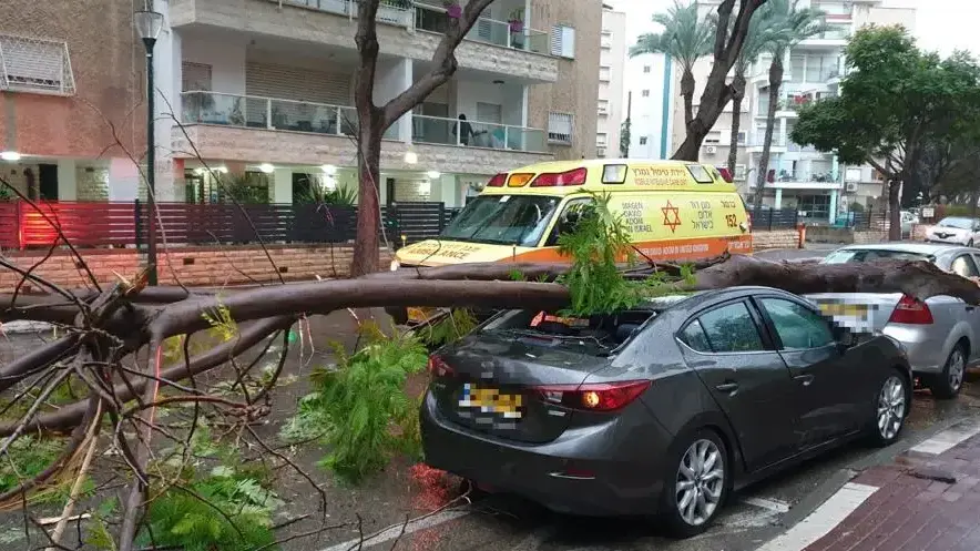 גבר נפצע קשה מקריסת עץ
ברחוב הפלמ״ח בקרית ביאליק. 12 בדצמבר 2019 גבר נפצע קשה מקריסת עץ
ברחוב הפלמ״ח בקרית ביאליק. 12 בדצמבר 2019