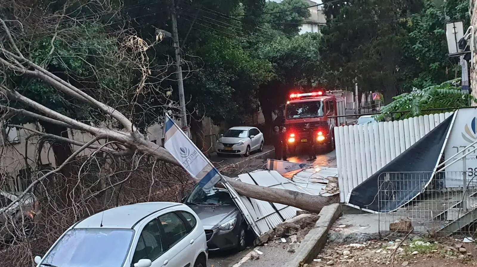 בעקבות מזג האוויר הסוער: עץ קרס על רכב בחיפה, 13 בדצמבר 2019 בעקבות מזג האוויר הסוער: עץ קרס על רכב בחיפה, 13 בדצמבר 2019
