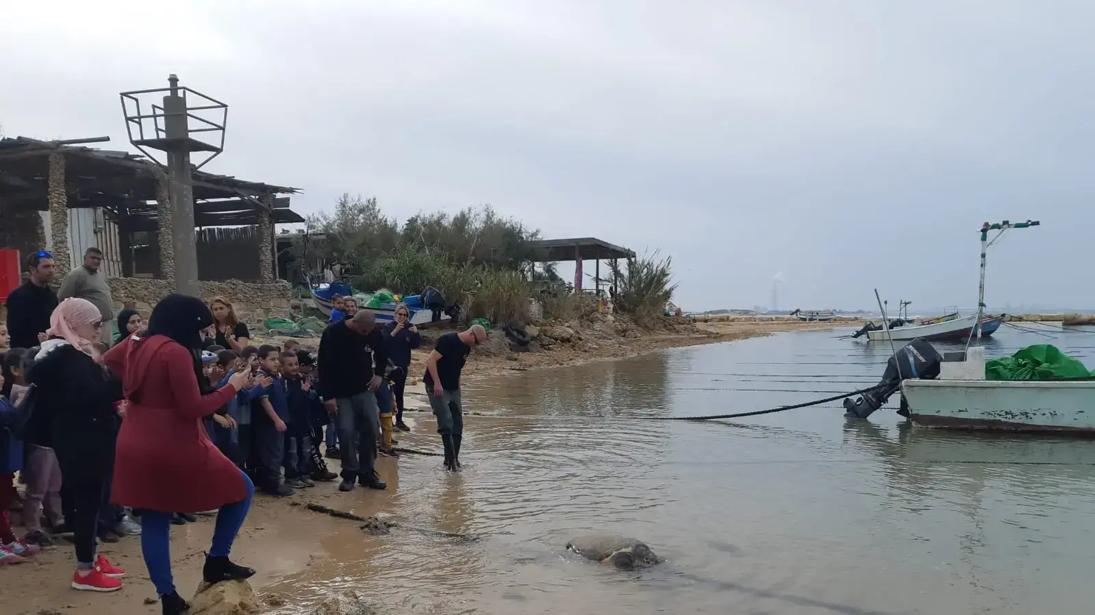 שחרור שתי צבות ים בחוף ג'סר א-זרקא, 13 בדצמבר 2019 שחרור שתי צבות ים בחוף ג'סר א-זרקא, 13 בדצמבר 2019