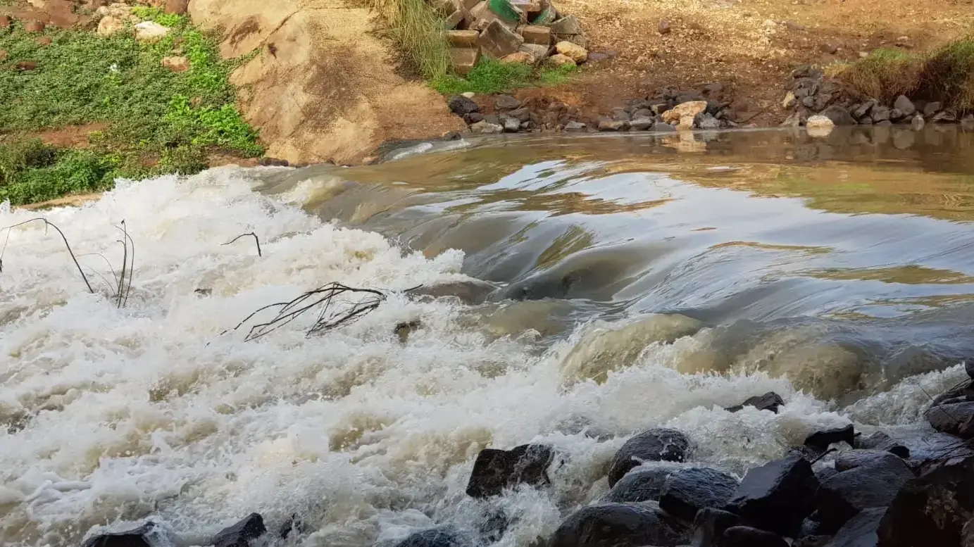 זרימה חזקה בנהר הירדן היום (שבת, 19\12\14) זרימה חזקה בנהר הירדן היום (שבת, 19\12\14)
