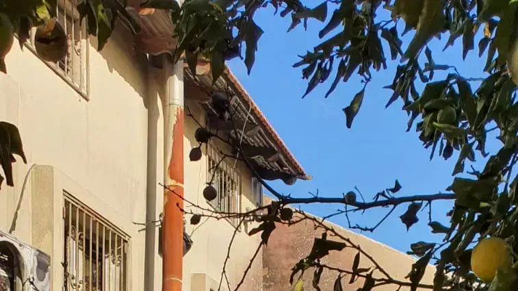 שריפה בבית ברמלה. בן 50 נלכד בדירה ומת. 14 בדצמבר 2019 שריפה בבית ברמלה. בן 50 נלכד בדירה ומת. 14 בדצמבר 2019