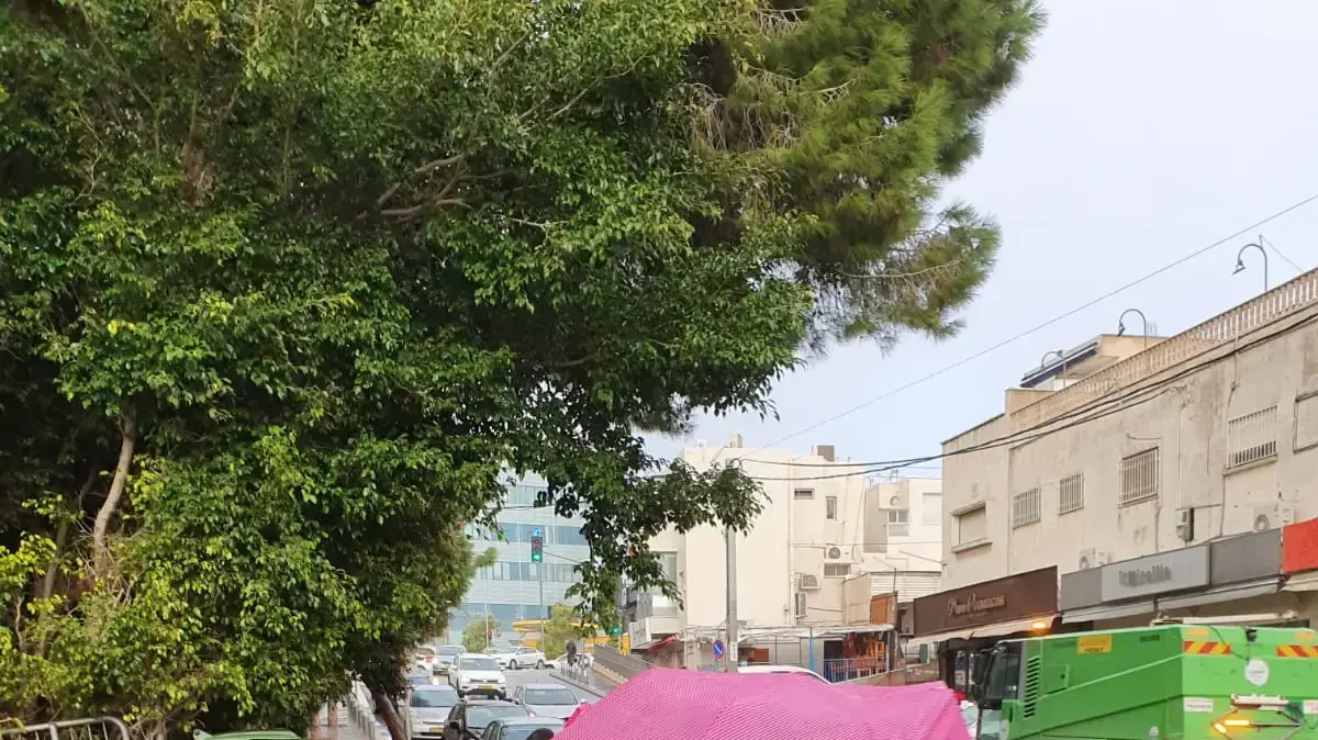 מזג אויר חורפי בחיפה, 25 בדצמבר 2019 מזג אויר חורפי בחיפה, 25 בדצמבר 2019