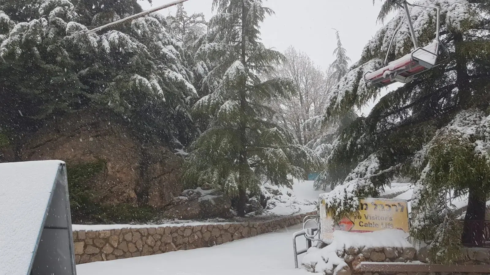 שלג יורד הבוקר בחרמון, 26 בדצמבר 2019 שלג יורד הבוקר בחרמון, 26 בדצמבר 2019