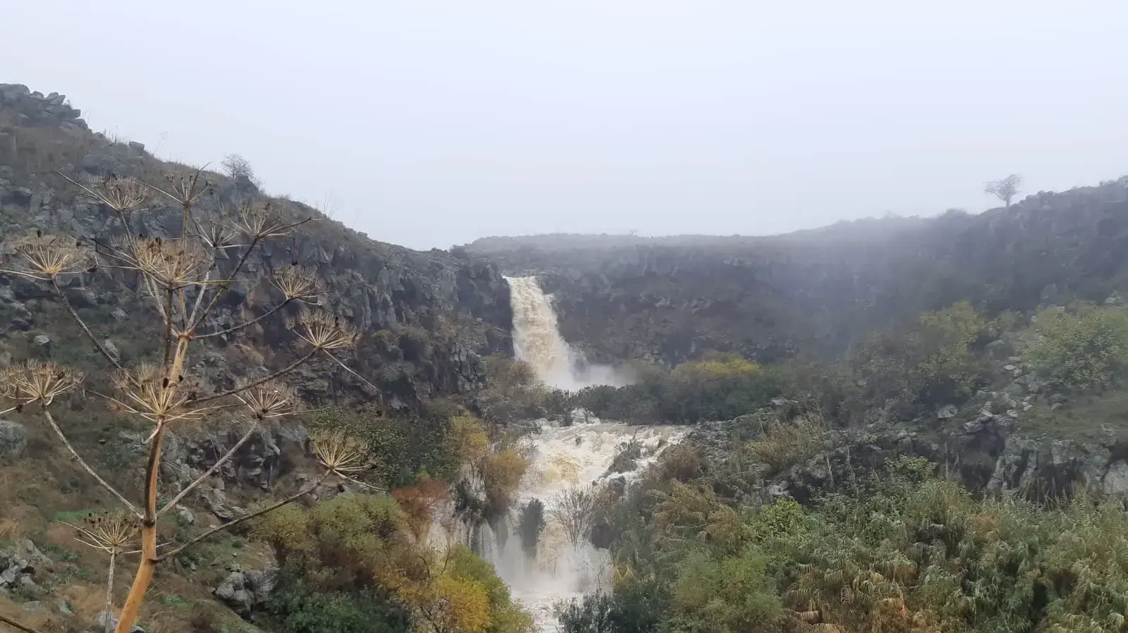 מפל האירוסים, זוויתן עליון, 27 דצמבר 2019
מפל האירוסים, זוויתן עליון, 27 דצמבר 2019
