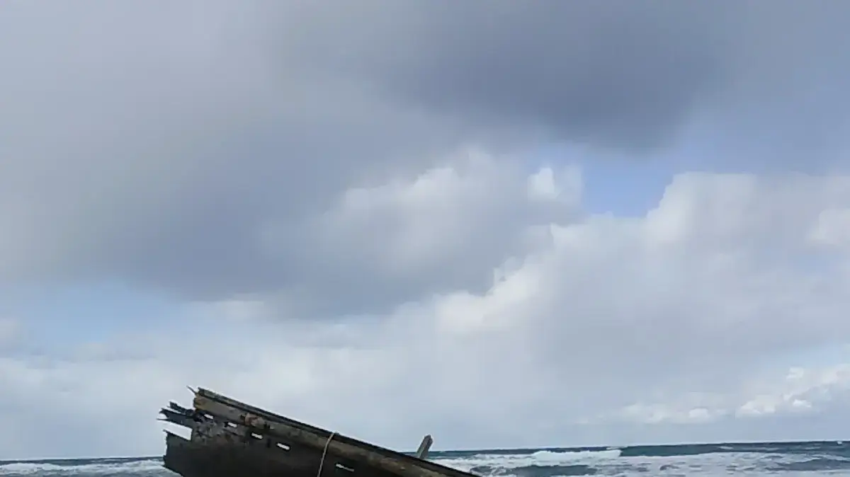 סירת עץ ובתוכה שרידי גופות מצפון קוריאה שהתגלו לאורך חופי יפן 28 בספטמבר 2019 סירת עץ ובתוכה שרידי גופות מצפון קוריאה שהתגלו לאורך חופי יפן 28 בספטמבר 2019