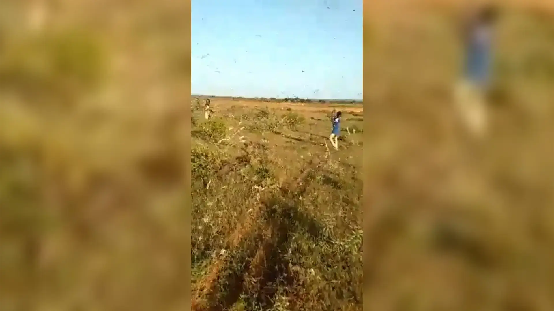 דרום סומליה: פעילי ארגון הטרור הסוני א-שבאב, ירו במקלעים 
כבדים לעבר נחילי ענק של ארבה, בניסיון נואש להציל את יבוליהם
