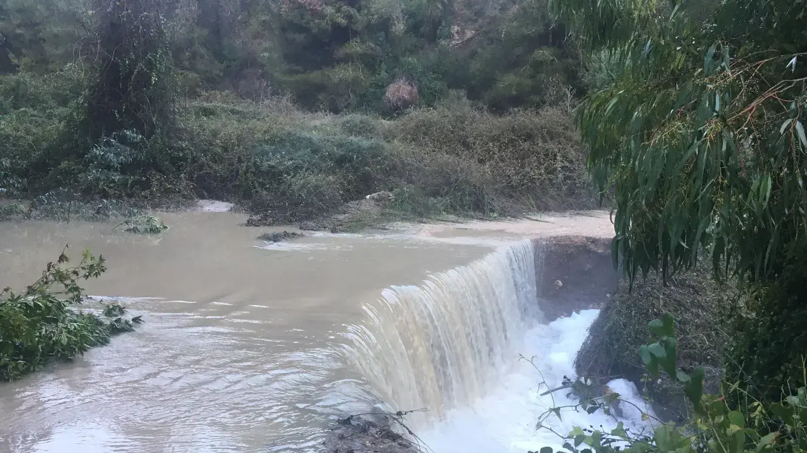 אגן נחל השופט , נסגר מהבוקר לכניסת מבקרים, 6 בינואר 2020 אגן נחל השופט , נסגר מהבוקר לכניסת מבקרים, 6 בינואר 2020