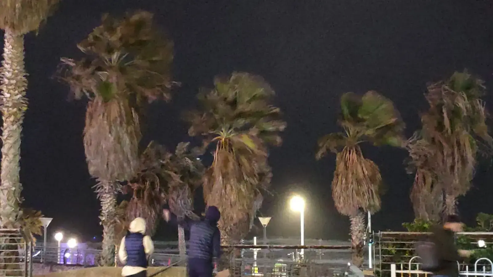 רוחות עזות בתל אביב 7 בינואר 2019 רוחות עזות בתל אביב 7 בינואר 2019