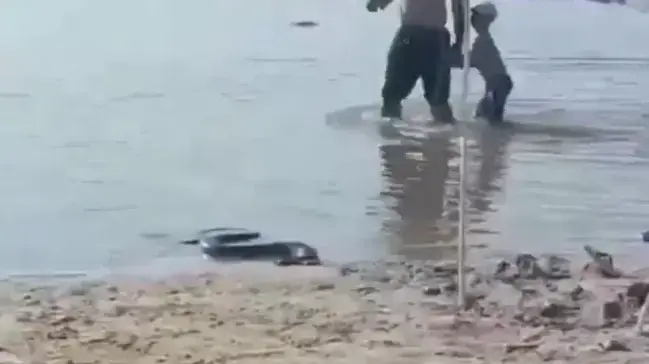 אב ובנו נכנסים למים כשנחש אנקונדה ענק מפתיע אותם אב ובנו נכנסים למים כשנחש אנקונדה ענק מפתיע אותם