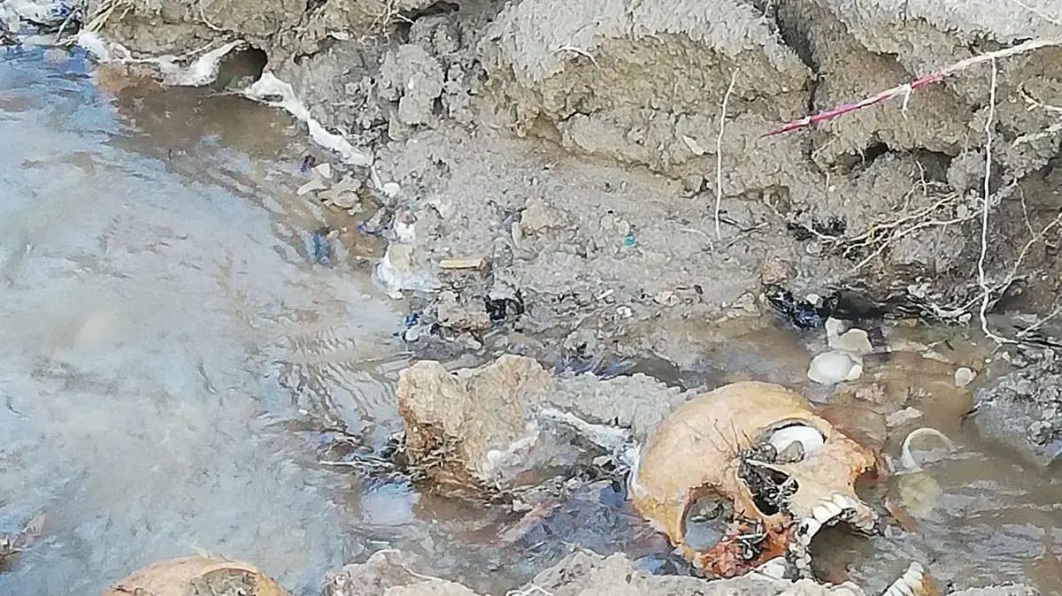 גולגולות בבית העלמין הצלבני בעתלית 13 בינואר 2019 גולגולות בבית העלמין הצלבני בעתלית 13 בינואר 2019