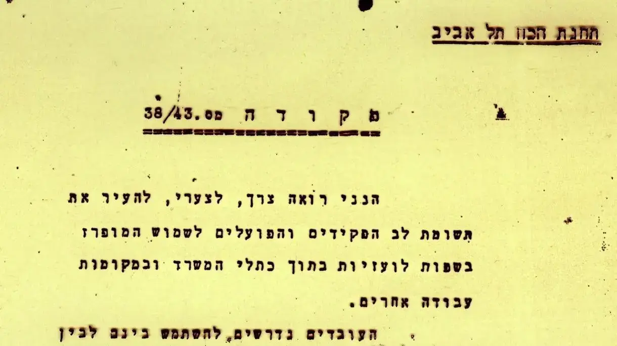 אייטם אלי אשכנזי על מונחי חברת החשמל אייטם אלי אשכנזי על מונחי חברת החשמל
