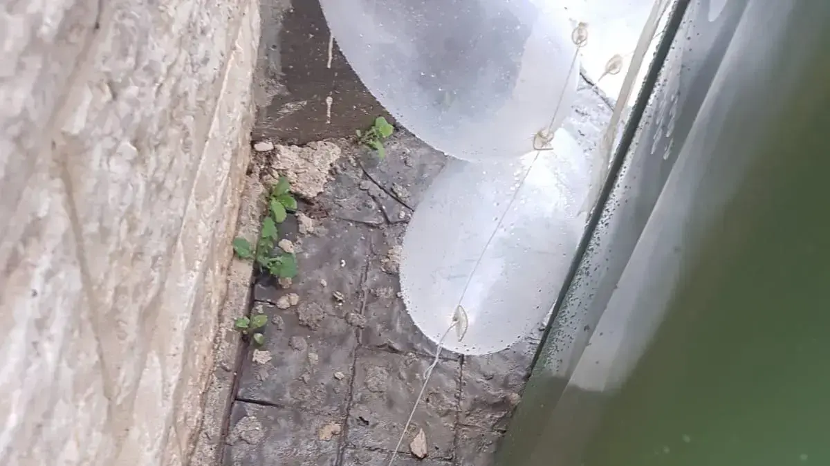 צרור בלונים עם מטען שנמצא בעיר שדרות