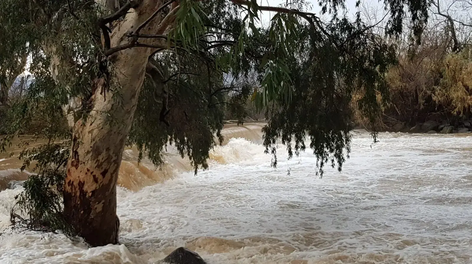 הסכר בכפר בלום, שוצף ומורגשת זרימה חזקה וסחף שצבע את מי הנחל בחום 21 בינואר 2020 הסכר בכפר בלום, שוצף ומורגשת זרימה חזקה וסחף שצבע את מי הנחל בחום 21 בינואר 2020
