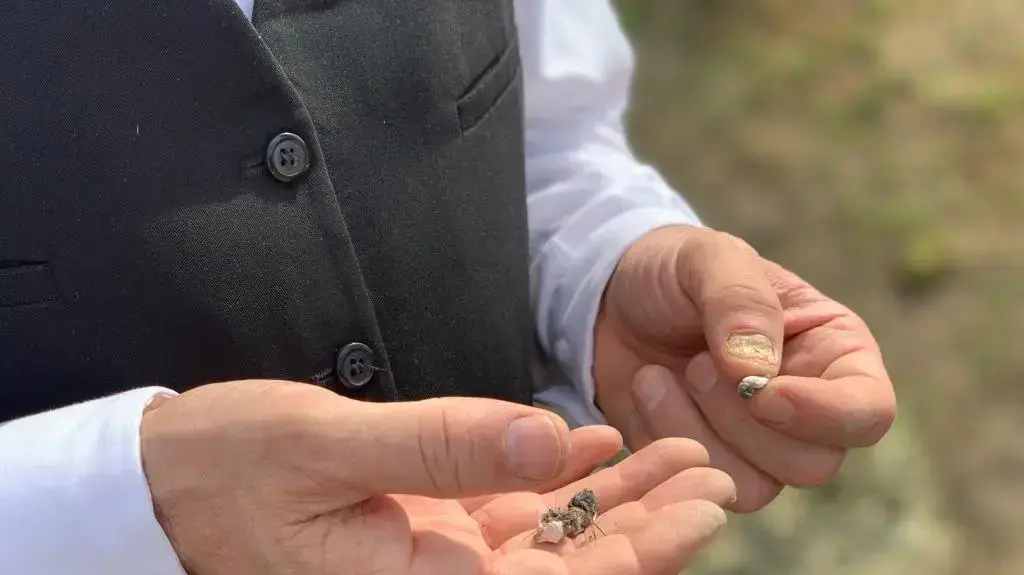 משלחת זק"א במחנות ההשמדה בפולין בהם צפו עצמות הנרצחים מעל פני האדמה. אין לי תאריך ספציפי אז אפשר פשוט ינואר 2020